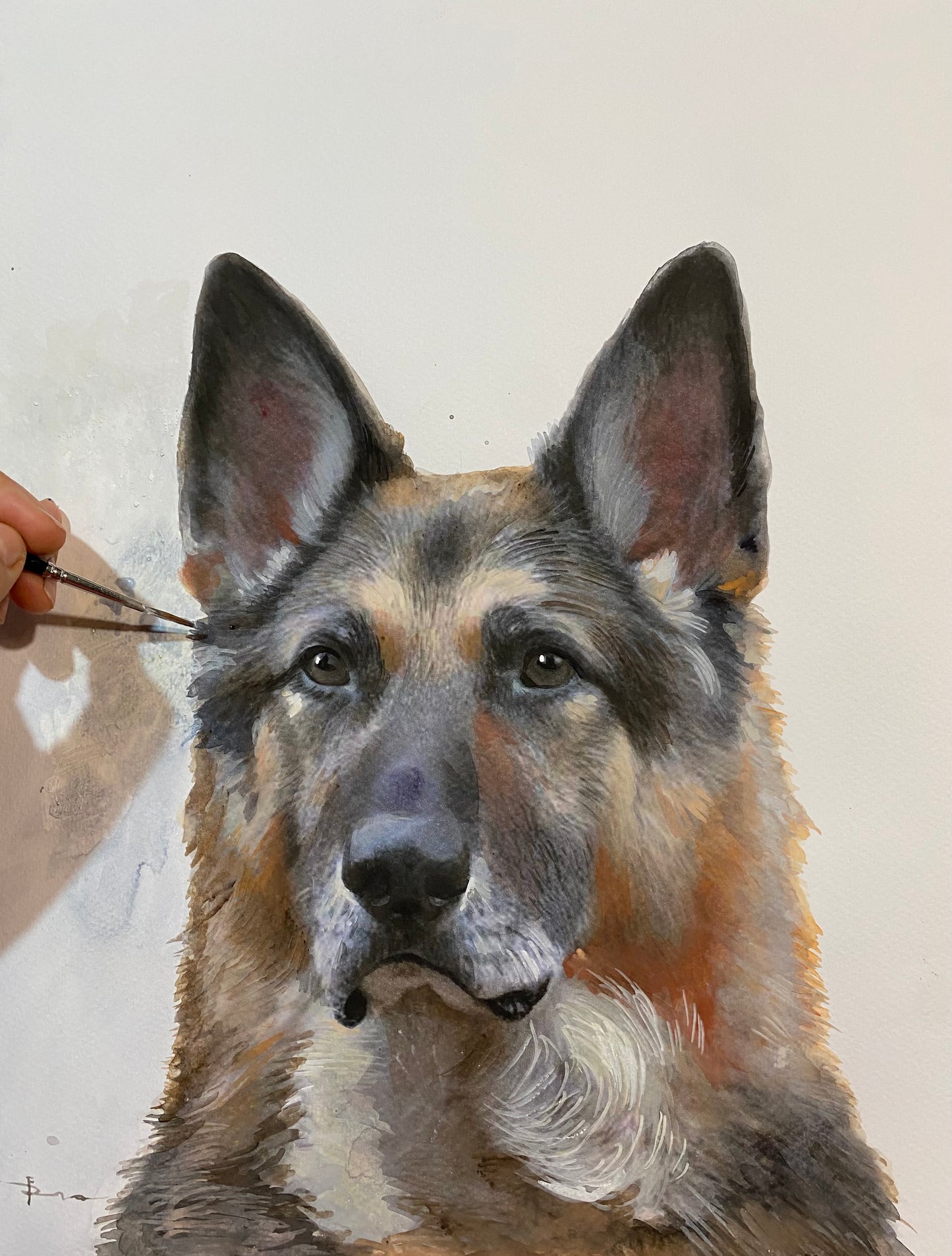Watercolor Pet Portrait from your photo