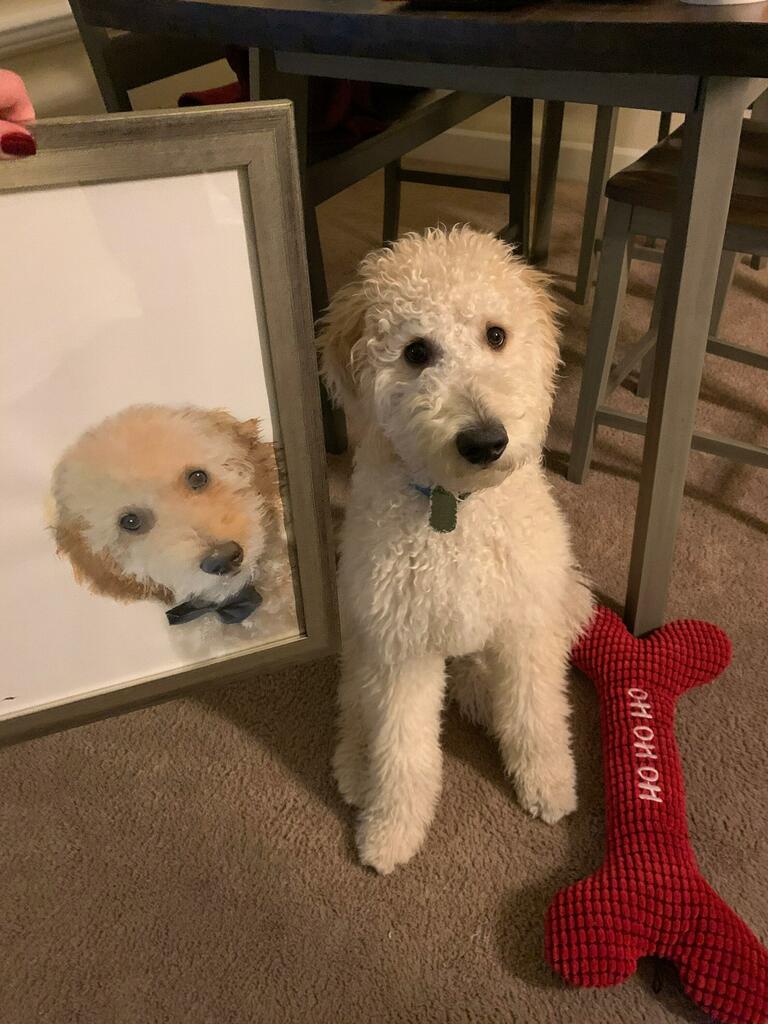 Peek-a-boo Pet Portrait Original Watercolor Masterpiece.