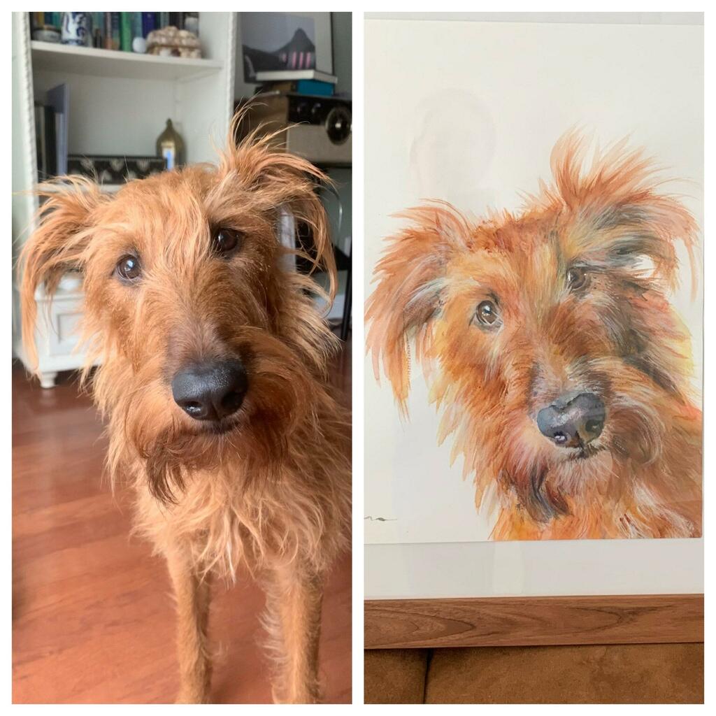 Peek-a-boo Pet Portrait Original Watercolor Masterpiece.