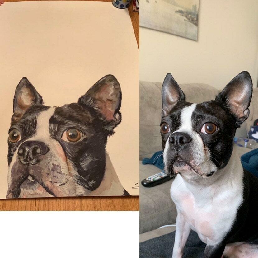 Peek-a-boo Pet Portrait Original Watercolor Masterpiece.