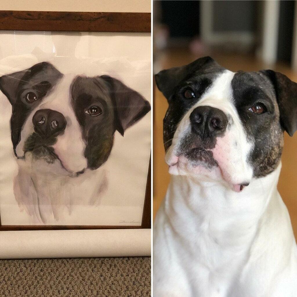 Peek-a-boo Pet Portrait Original Watercolor Masterpiece.