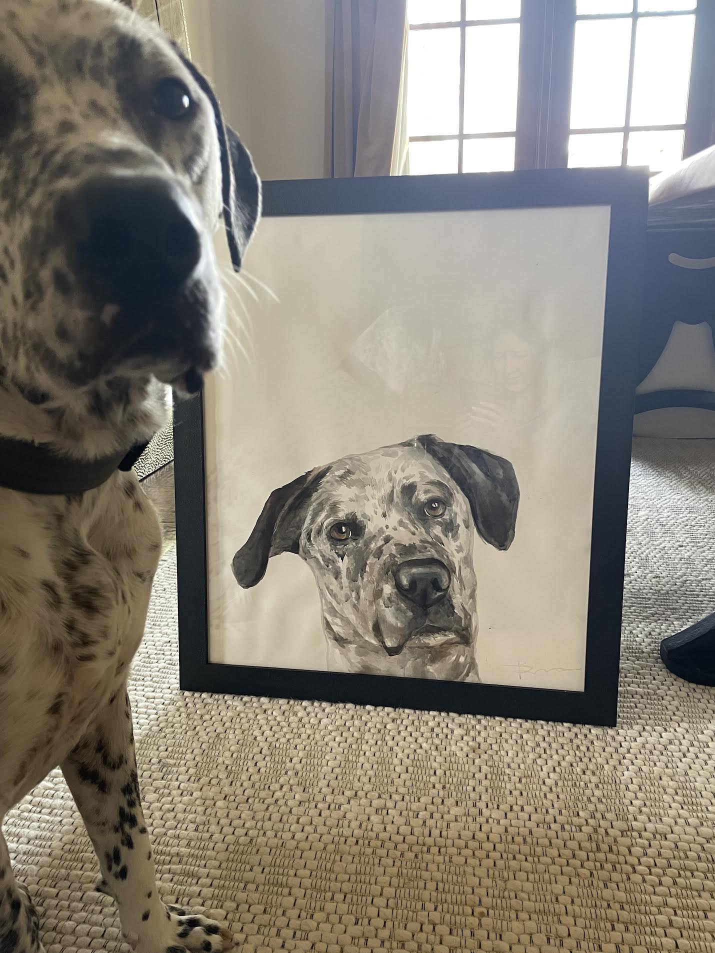 Peek-a-boo Pet Portrait Original Watercolor Masterpiece.