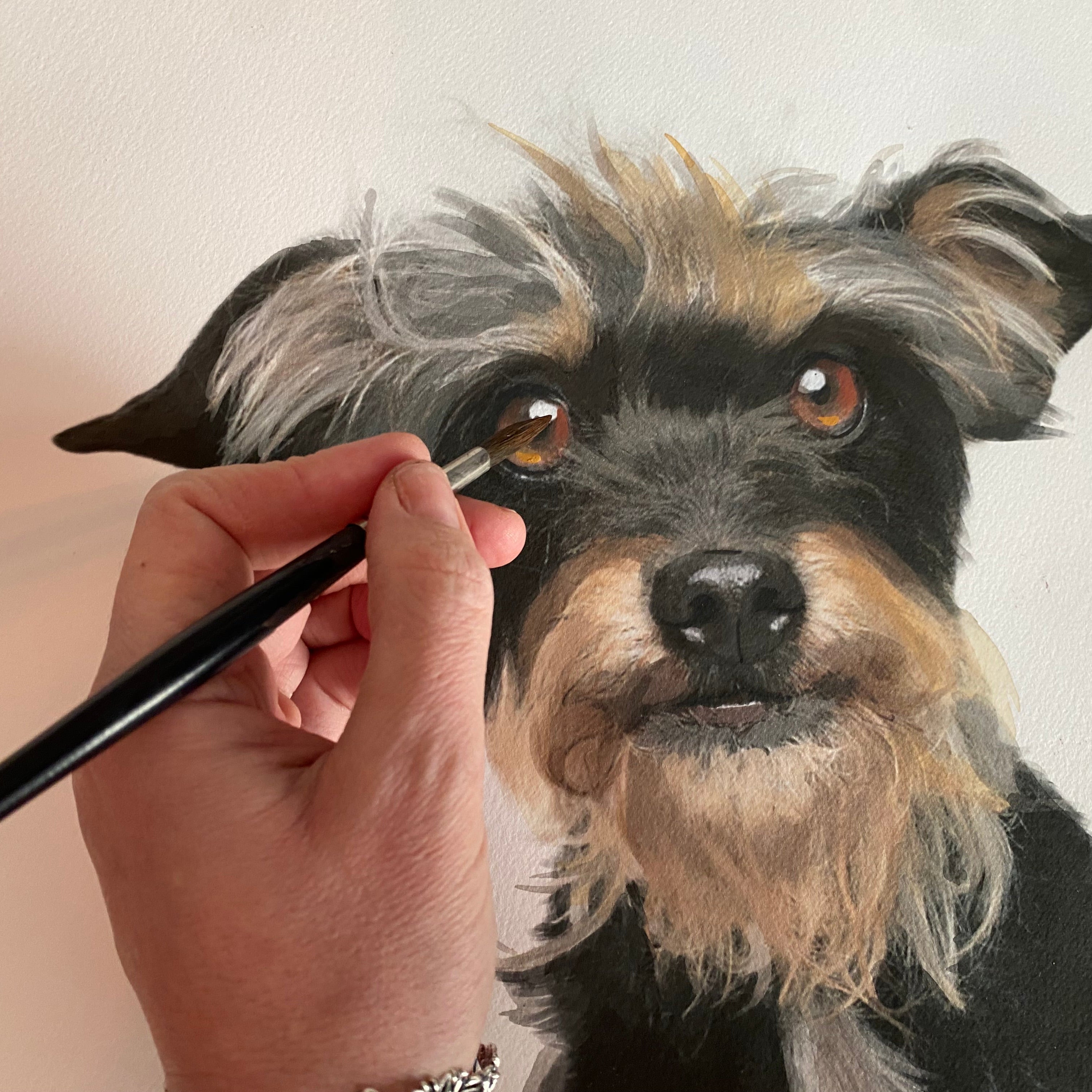 Commission Process / Custom Orders