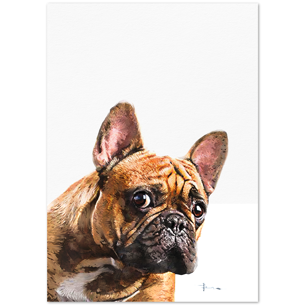 Close-up french bulldog portrait on a white background Romalenaart
