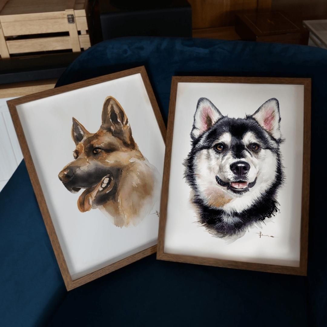 German Shepherd, Husky portrait 