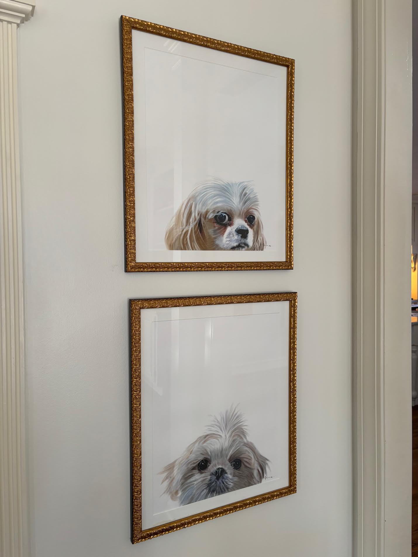 watercolor pet portrait set