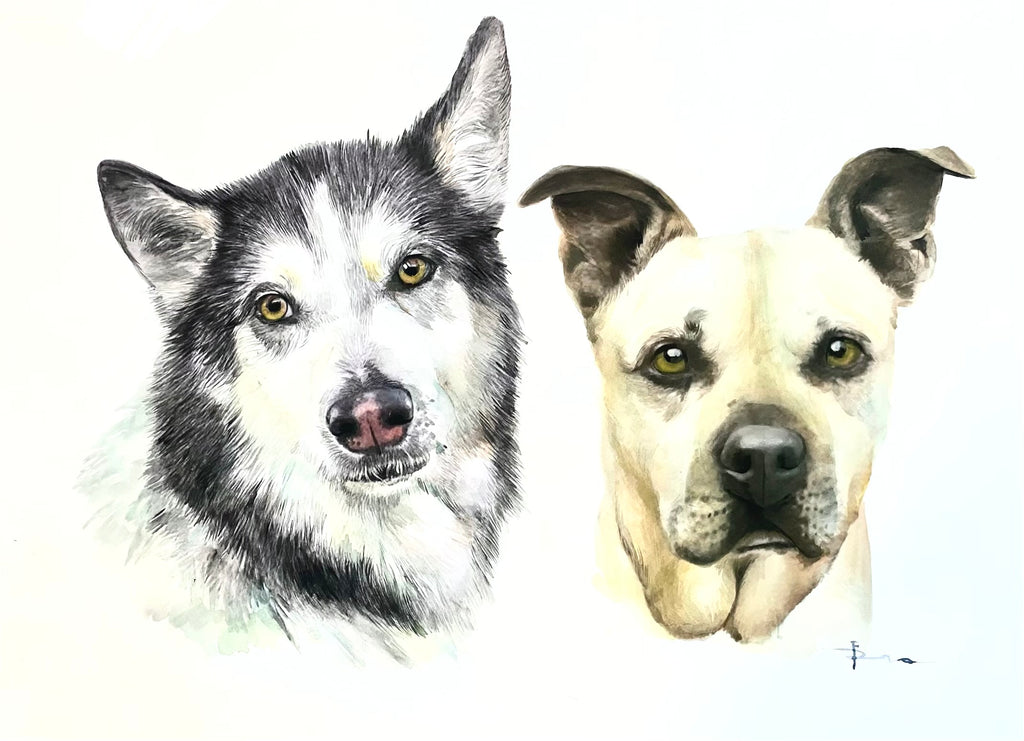Watercolor pet portraits