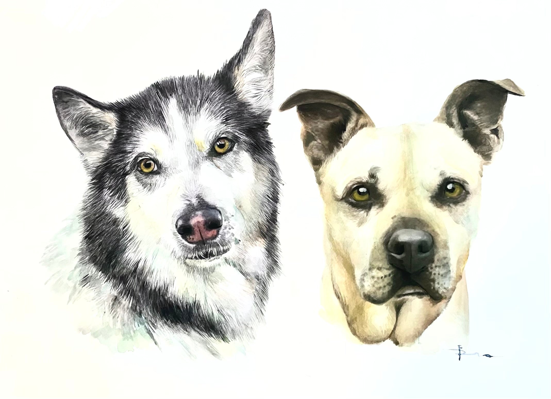 Watercolor pet portraits