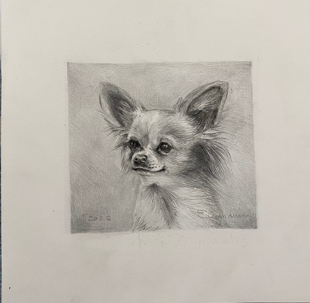 Pencil and Charchoal Portrait Drawing | From your photo