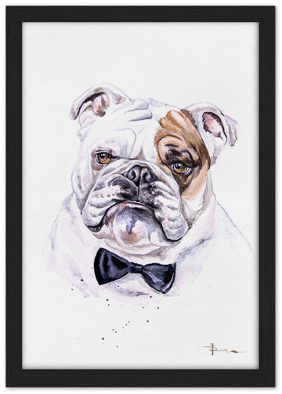 Framed artwork of a bulldog wearing a bow tie on a white background
