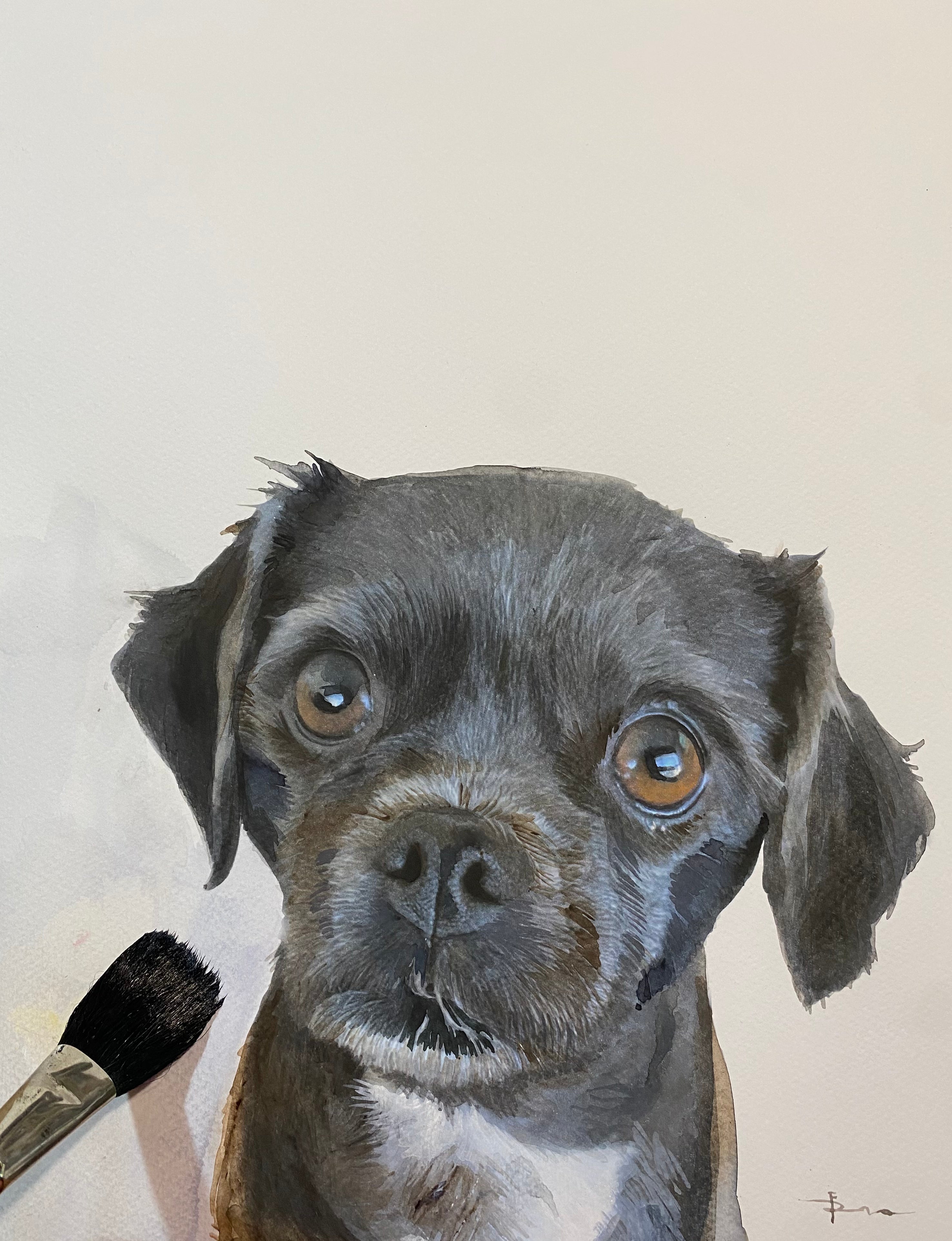 Watercolor Pet Portrait from your photo