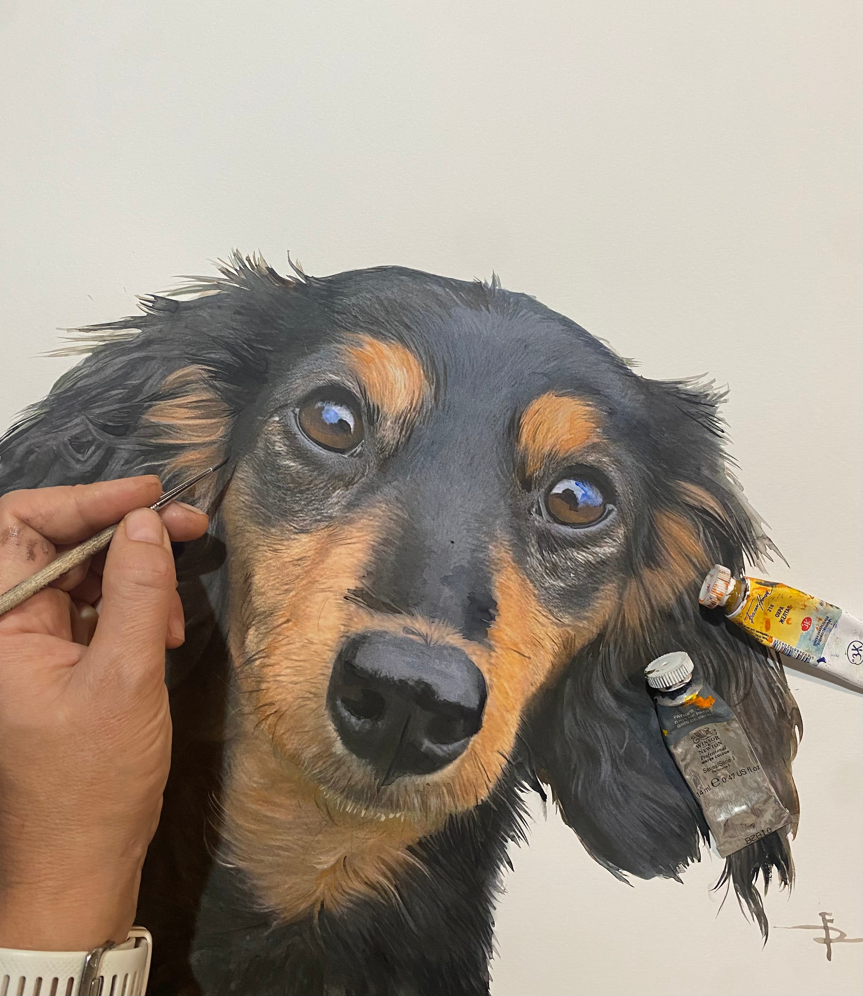 Watercolor Pet Portrait from your photo