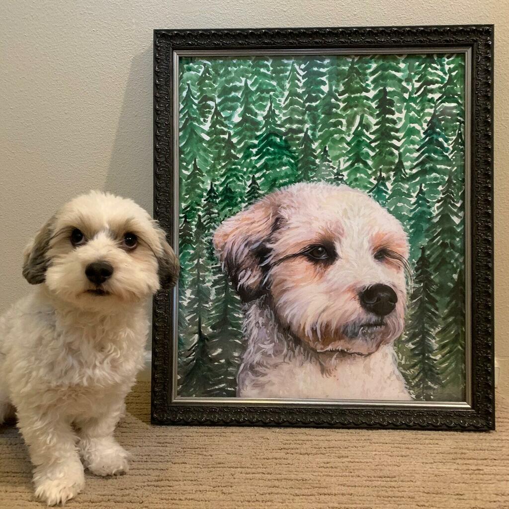 Reach of colors pet portrait