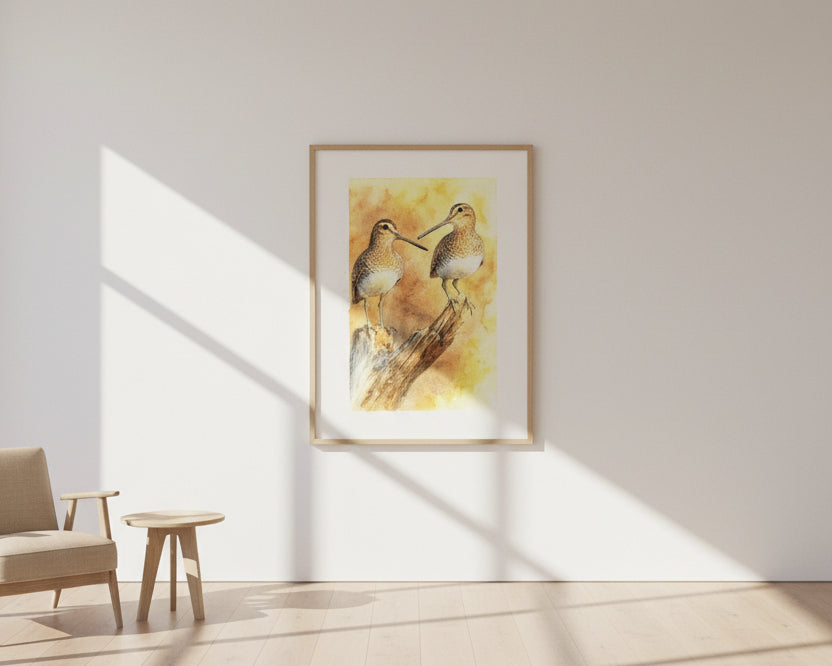 sandpiper birds art print