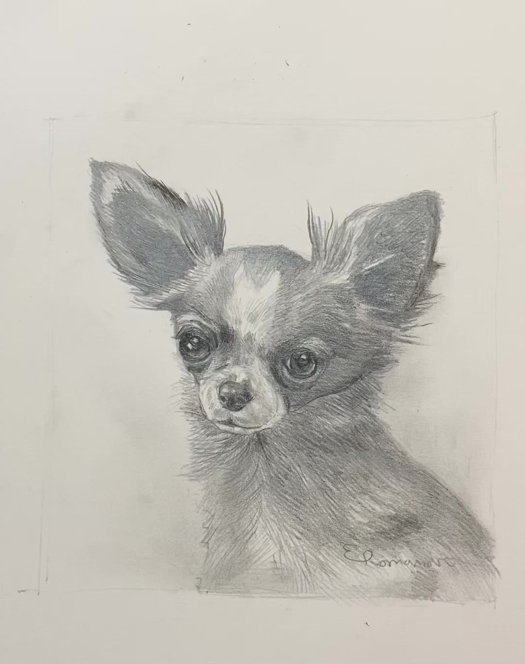 Pencil Pet Portrait | From your photo