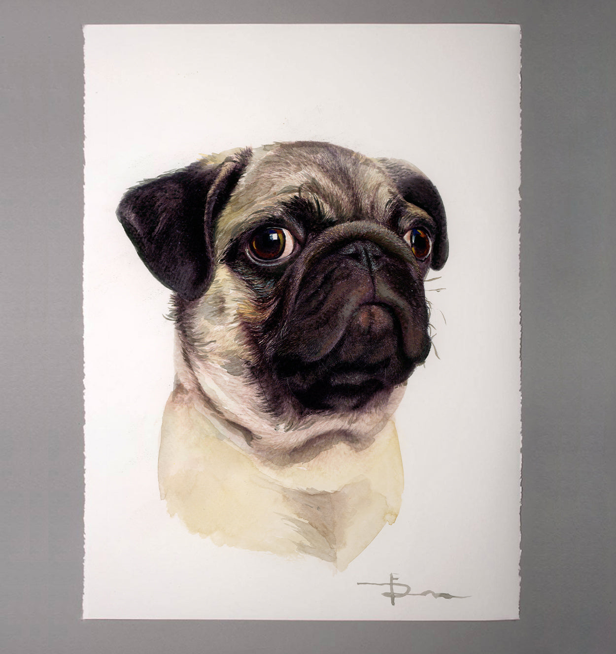 pug watercolor portrait from photo