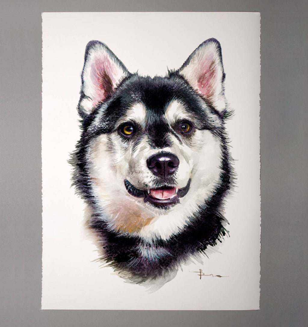 husky watercolor portrait