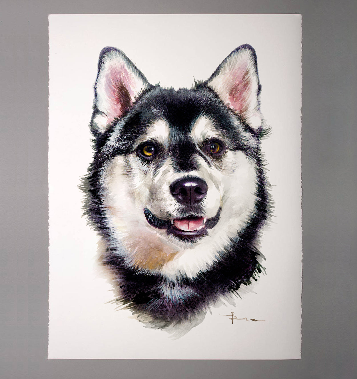 husky watercolor portrait
