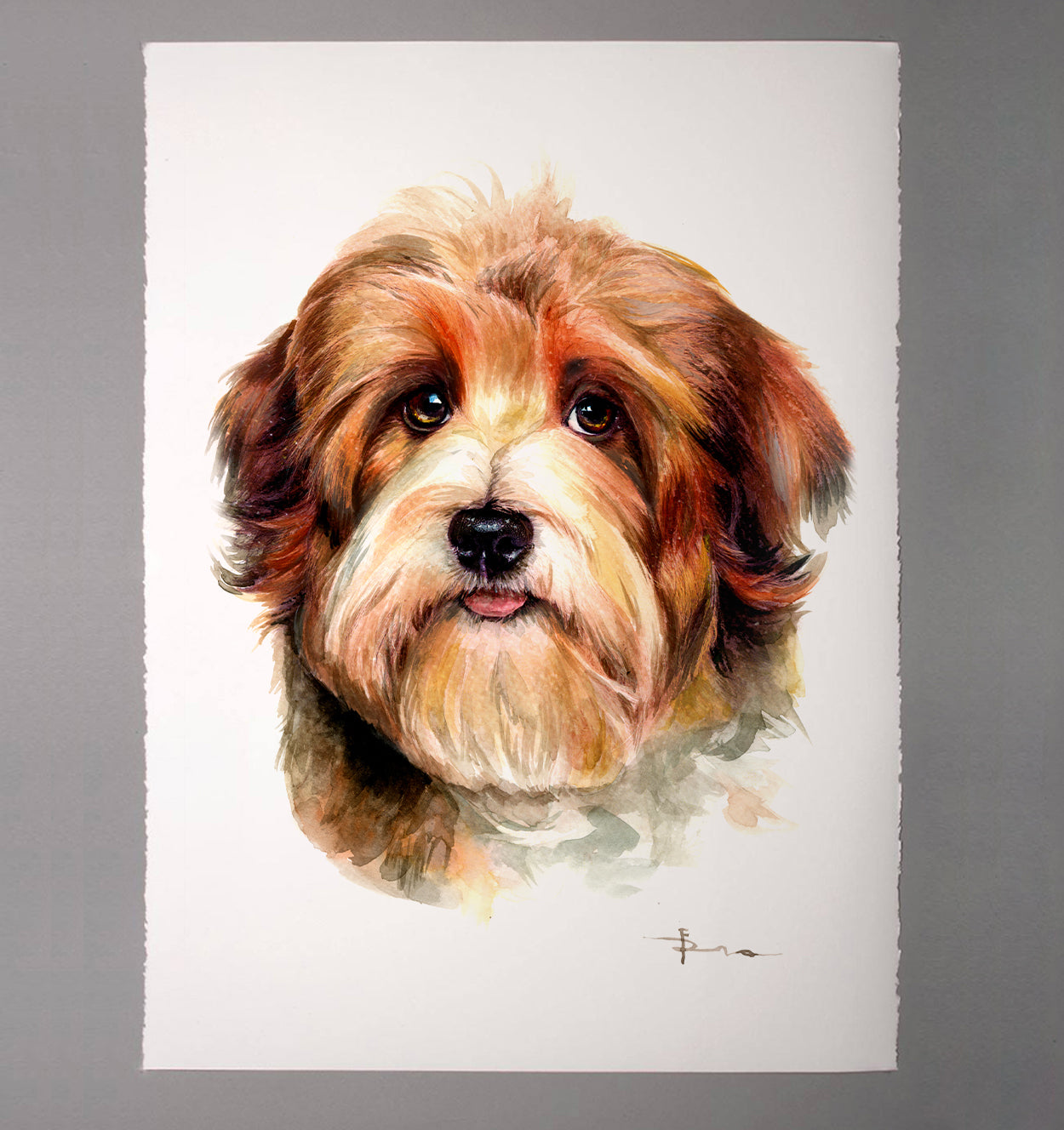 commission watercolor dog portrait from photo