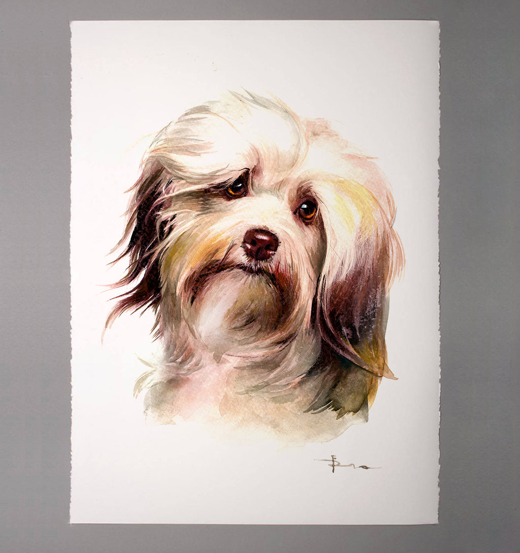 custom watercolor dog portrait