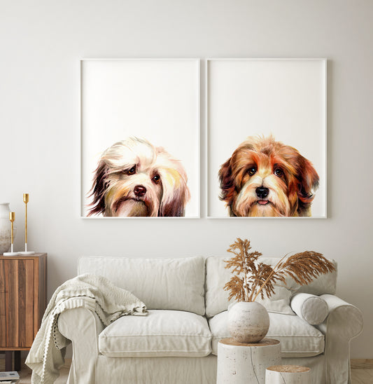 Peekaboo pet portrait